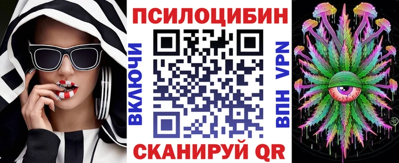 купить наркотики сайты Усть-Джегута Псилоцибиновые грибы Psilocybe